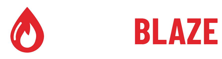 WashBlaze logo in white for dark backgrounds